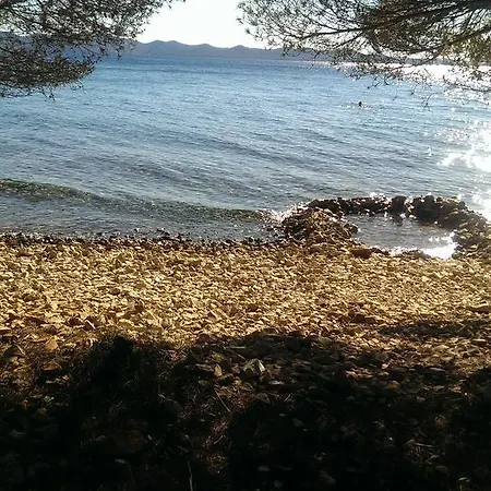 With Garden شقة