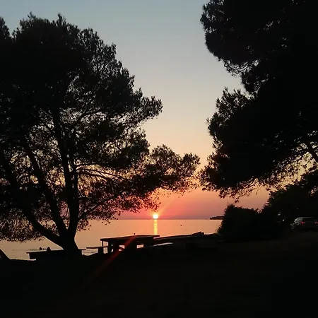 With Garden Διαμέρισμα *