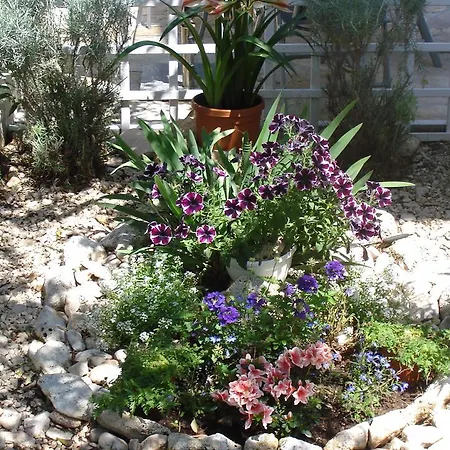 شقة With Garden *