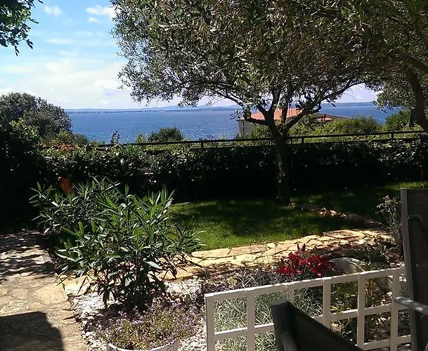 With Garden Appartement