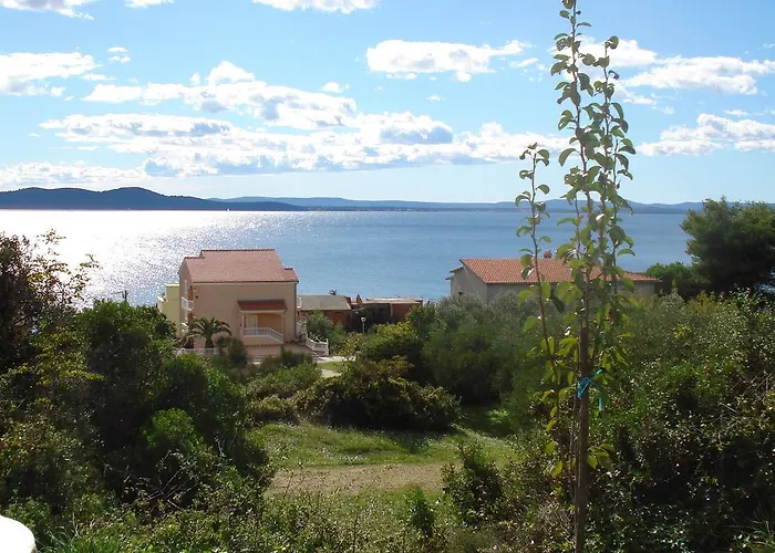 With Garden Daire Kožino