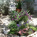Apartment Apartments With Garden *