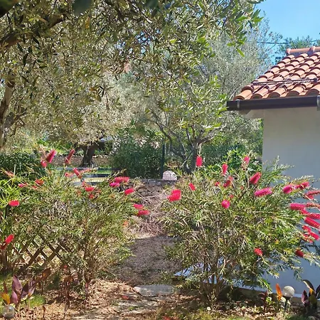 Apartament With Garden