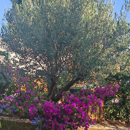 With Garden Apartament *