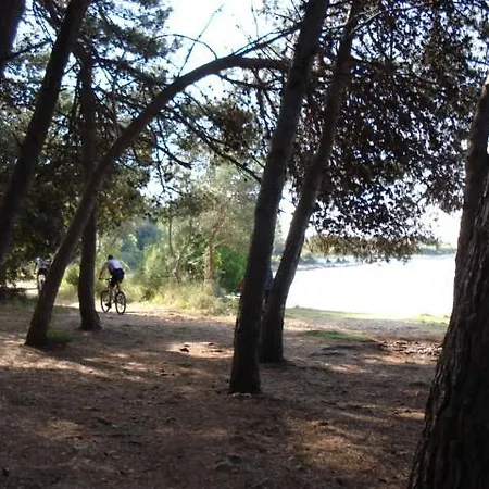 With Garden Appartement Kožino